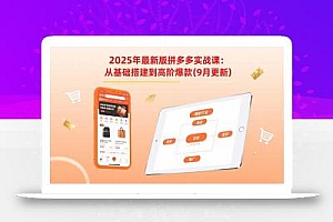 2025年最新版拼多多实战课:从基础搭建到高阶爆款(9月更新