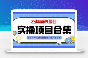 2025年实操六大项目实操演练,挂机类型,AI直播类型,轻资产创业类型,…