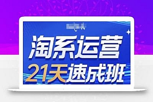 淘系运营21天速成班(更新25年6月),0基础轻松搞定淘系运营,不做假把式