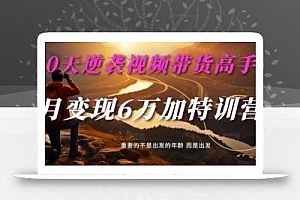30天逆袭视频带货高手,单月变现6万加特训营-麦子甜