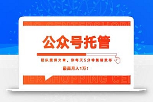 【公众号托管 】我提供文章,你每天5分钟复制发布,最高月入1W
