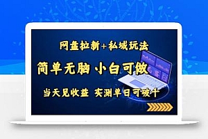 网盘拉新+私域玩法,简单无脑,小白可做,当天见收益,实测单日可破千