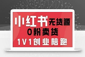小红书无货源0粉电商课,开店准备、选品策略、笔记撰写、视频剪辑、数据分析、账号打造、资料文档