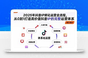2025年抖音IP孵化运营全流程,从0到1打造高价值抖音IP的完整运营体系