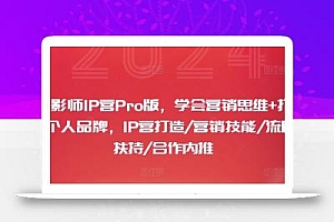 摄影师IP营Pro版,学会营销思维+打造个人品牌,IP营打造/营销技能/流量扶持/合作内推