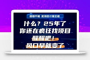 什么?25年你还在疯狂找项目做,醒醒吧,看完这些你全都懂了!【揭秘】