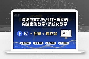 跨境电商新机遇,社媒+独立站,实战案例教学+系统化教学