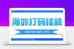 海外打码平挂机项目,全自动撸美金,无脑月入5000+