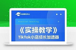 大卖家孵化中心TikTok实操课,TikTok小店成长加速器,跨境基础系统学习,一步一步带你开店
