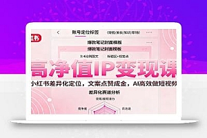 高净值IP变现课:小红书差异化定位,文案点赞成金, AI高效做短视频