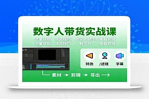 数字人变现实战课:流量获取、选品技巧、数字人制作与电脑剪辑