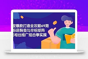 淘宝爆款打造全攻略-69期,标品裂变与非标矩阵,万相台推广组合拳实操