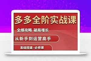 拼多多全阶实战课程,全维攻略,破局增长,从新手到运营高手