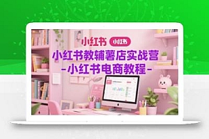 小红书教辅薯店实战营-小红书电商教程