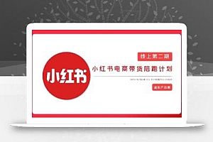 2025小红书虚拟电商实战课