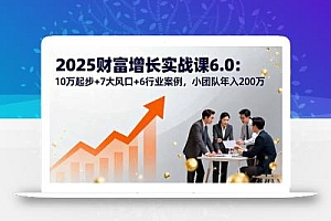 2025财富增长实战课6.0:10万起步+7大风口+6行业案例,小团队年入200万