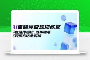 AI自媒体变现训练营,平台选择避坑,低粉账号高变现方法全解析