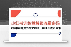 小红书训练营解锁流量密码,掌握推荐算法与爆文创作,精准引流不再难