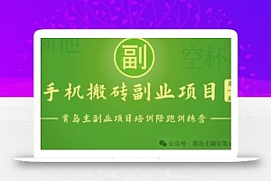 手机搬砖小副业项目训练营1.0,实测1小时收益50+,一部手机轻松日入100+