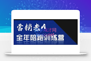 老A营销训练营(更新7月)