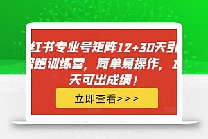 小红书专业号矩阵12+30天引流陪跑训练营,简单易操作,15天可出成绩!