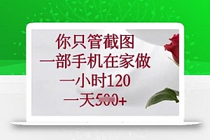 你只管截图,一部手机在家做,一小时120.一天5张【揭秘】