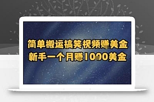 简单搬运搞笑视频挣美金,新手一个月入1k美金