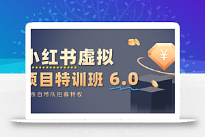 小红书虚拟项目特训班6.0 ,养号/选品/自动发货/爆款笔记(含40节视频课)