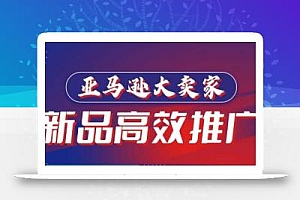 亚马逊大卖家-新品高效推广,分享如何高效推广,打造百万美金爆款单品