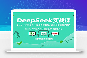 DeepSeek实战课:Excel、WPS接入、AI 组合工具与小红书批量做笔记技巧