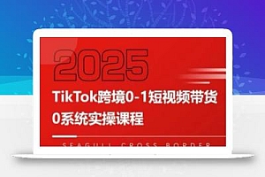 大亿老师·TikTok跨境0-1短视频带货