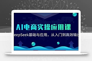 AI电商实操应用课:DeepSeek基础与应用,从入门到高效输出