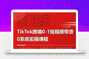 TikTok跨境0-1短视频带货,系统拆解TikTok跨境带货全链路,实现跨境可持续盈利