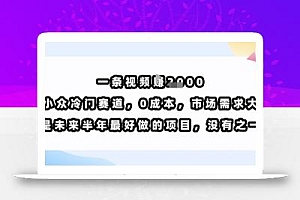 一条视频挣1k,小众冷门赛道,0成本,市场需求大,是未来半年最好做的项目,没有之一