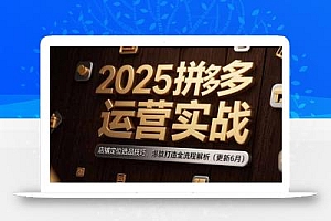2025拼多多运营实战:店铺定位选品技巧,爆款打造全流程解析(更新6月