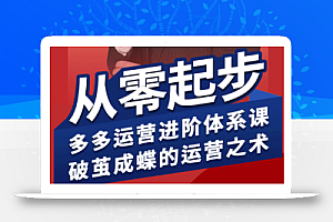 海神·拼多多运营进阶系统课(更新8月)