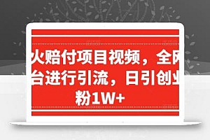 爆火赔付项目视频,全网平台进行引流,日引创业粉1W+【揭秘】