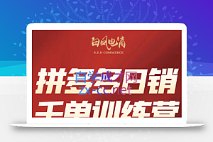 白凤电商·拼多多日销千单训练营(更新7月)