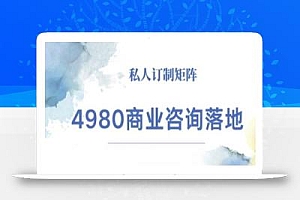 4980商业咨询师落地课程-ip运营高客单教程