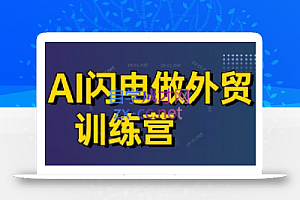 大卫·AI闪电做外贸训练营(更新6月)