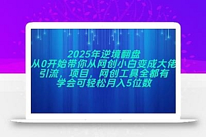 2025年逆境翻盘,从0开始带你从网创小白变成大佬,引流,项目,网创工…