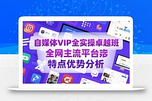 自媒体VIP全实操卓越班,全网主流平台特点优势分析