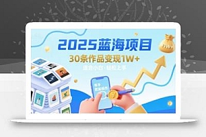 2025蓝海项目30条作品 变现1w+ 有手就能操作适合小白做