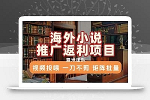 海外小说推广返利项目,视频投喂, 一刀不剪,矩阵批量
