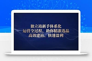 独立站新手体系化 运营全过程,助你精准选品、高效建站、快速盈利