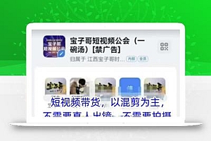 宝子哥头部团队短视频带货,以混剪为主,不需要真人出镜,不需要拍摄【更新6月】