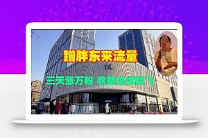 蹭胖东来流量,三天涨万粉,收益直接起飞