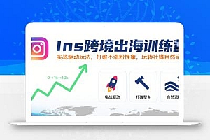 Ins跨境出海训练营,实战驱动玩法,打破不涨粉怪象,玩转社媒自然流量