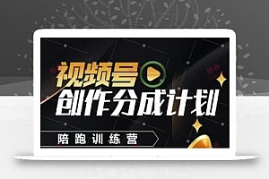 视频号创作分成计划陪跑训练营,手把手教会你如何制作视频,细水长流型项目