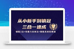 从小新手到销冠 三合一速成:销售3法+非暴力关单法+销售系统挖需课 (27节